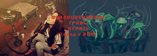 mdpv Гусев