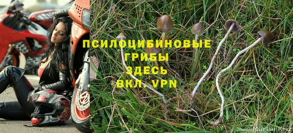 мет Гусиноозёрск