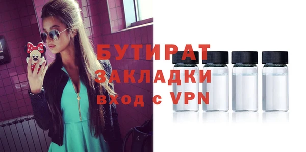 индика Пестово